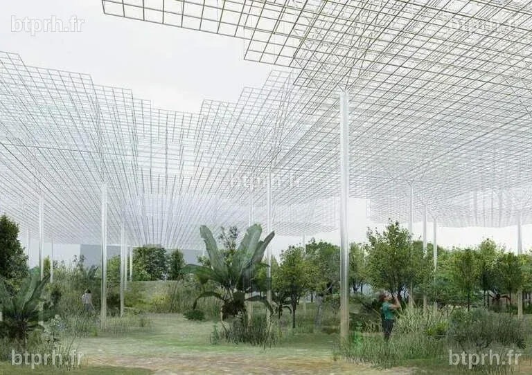 Plongée au cœur de la nature : Une expérience immersive à l’exposition ...