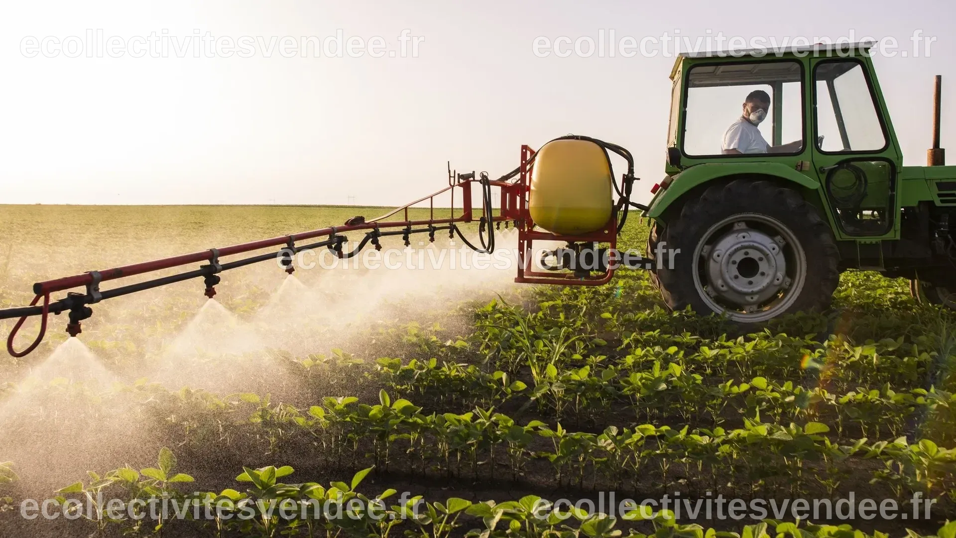 Pesticides et santé : les agriculteurs restent les principales victimes ...