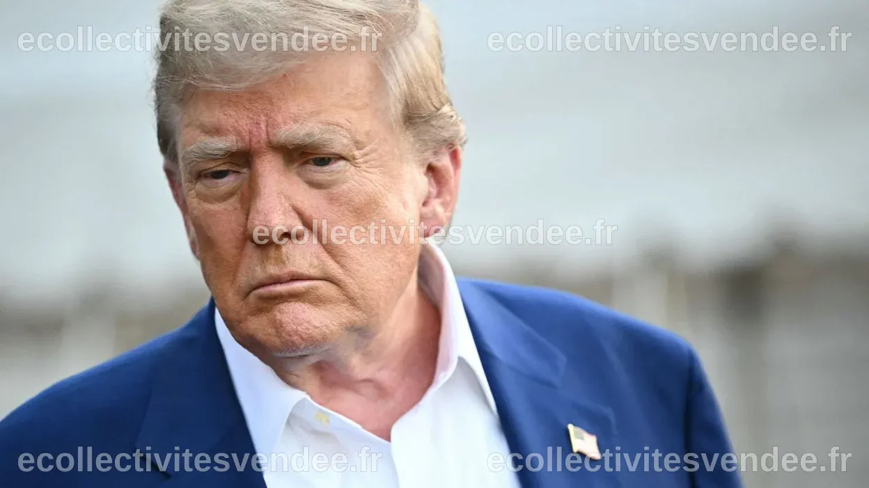 Le pétrole plonge après l'aval de Trump à l'achat de brut iranien par ...