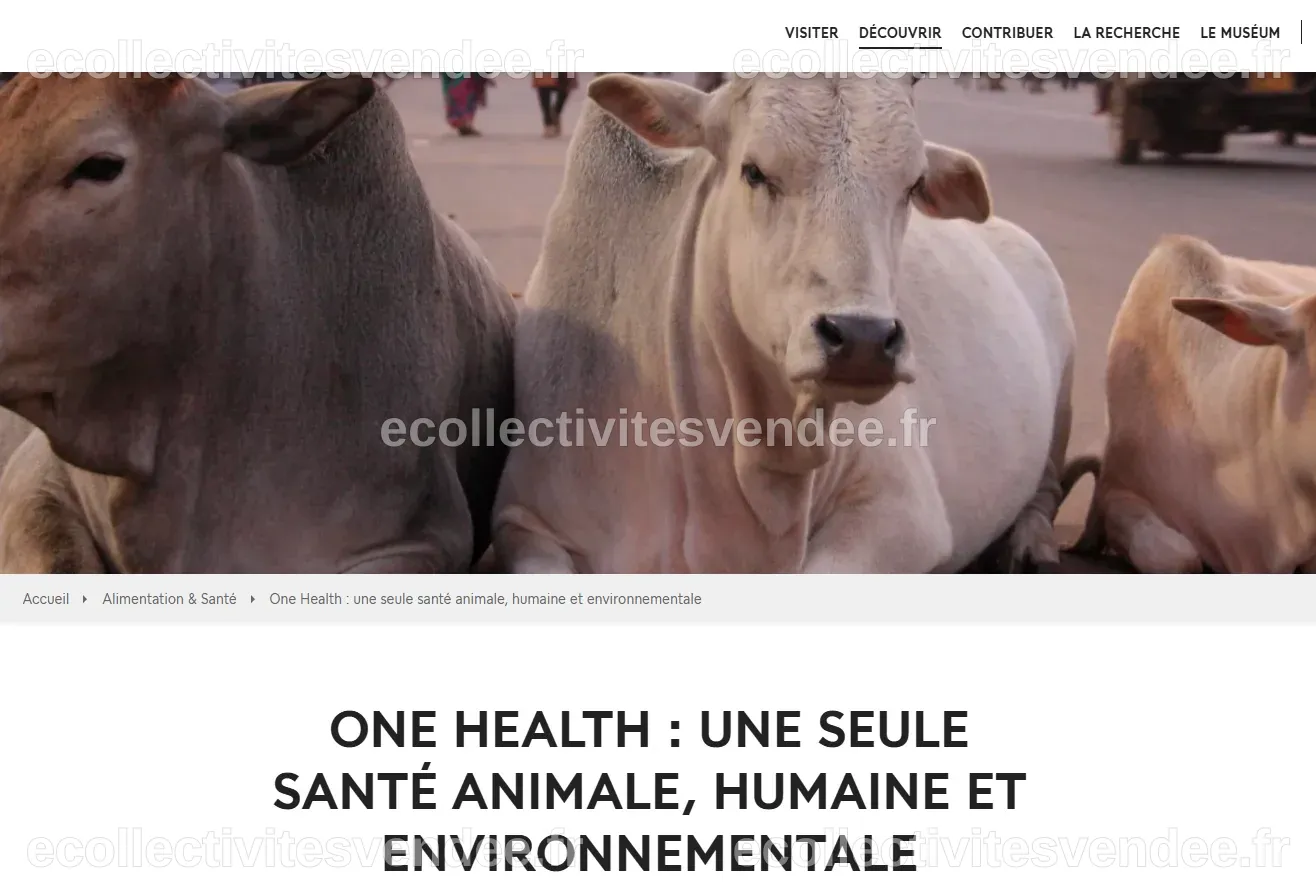 One Health : Une seule santé animale, humaine et environnementale ...