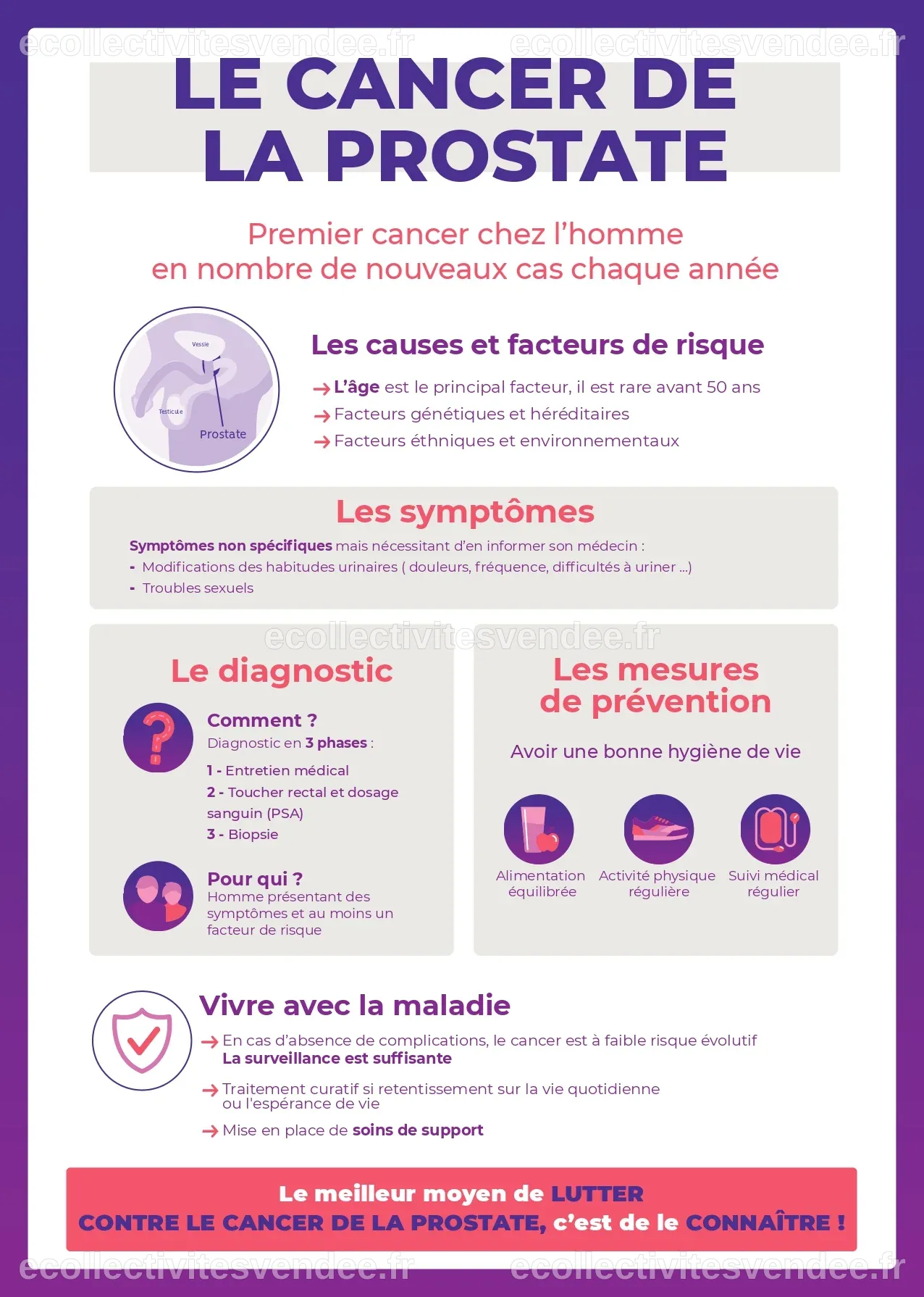 Qu’est-Ce Qu’un Cancer De La Prostate – QIZR