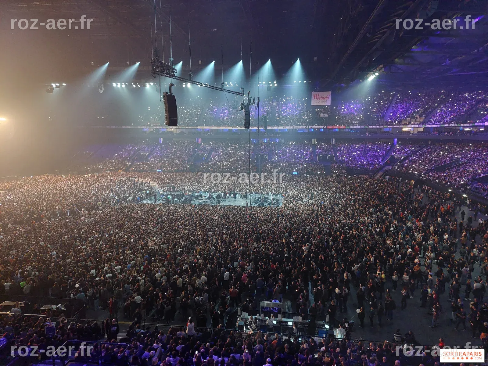 Céline Dion: une série de concerts à Paris en 2026 ? - Sortiraparis.com