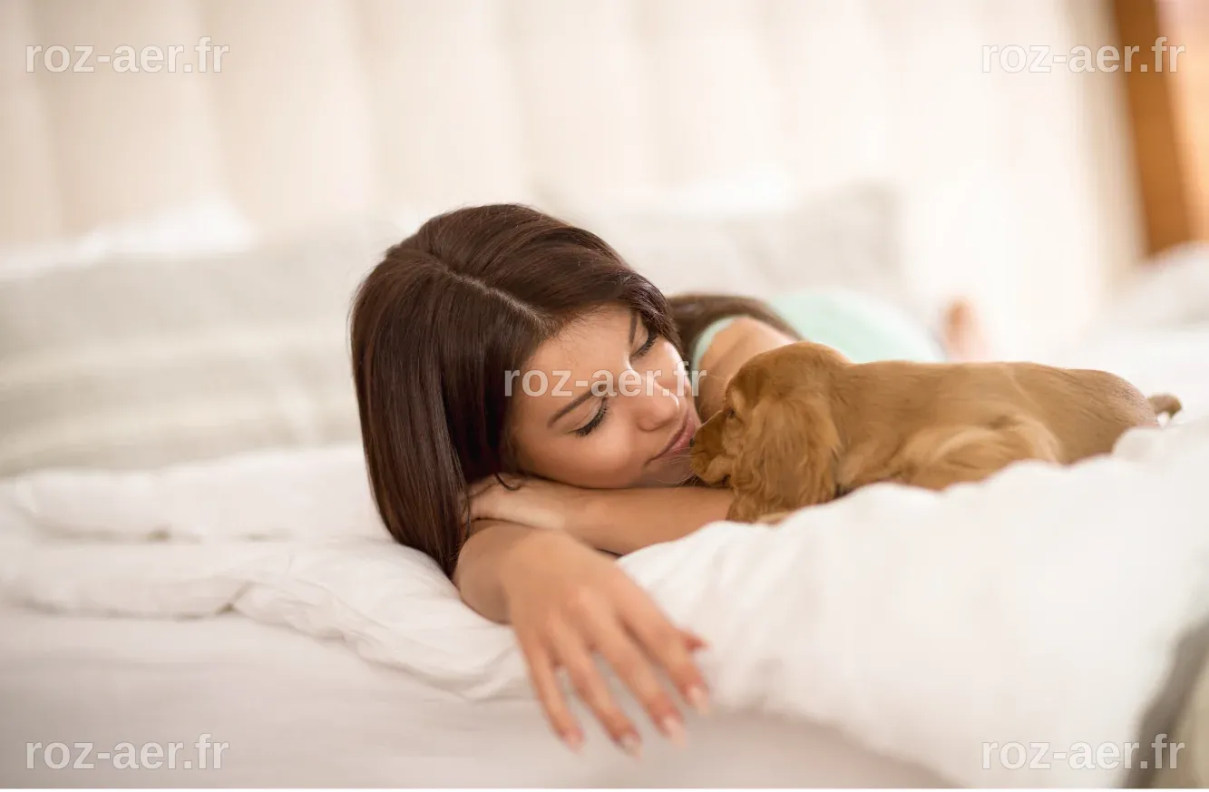 Dormir avec son animal de compagnie : un équilibre délicat à trouver selon la science