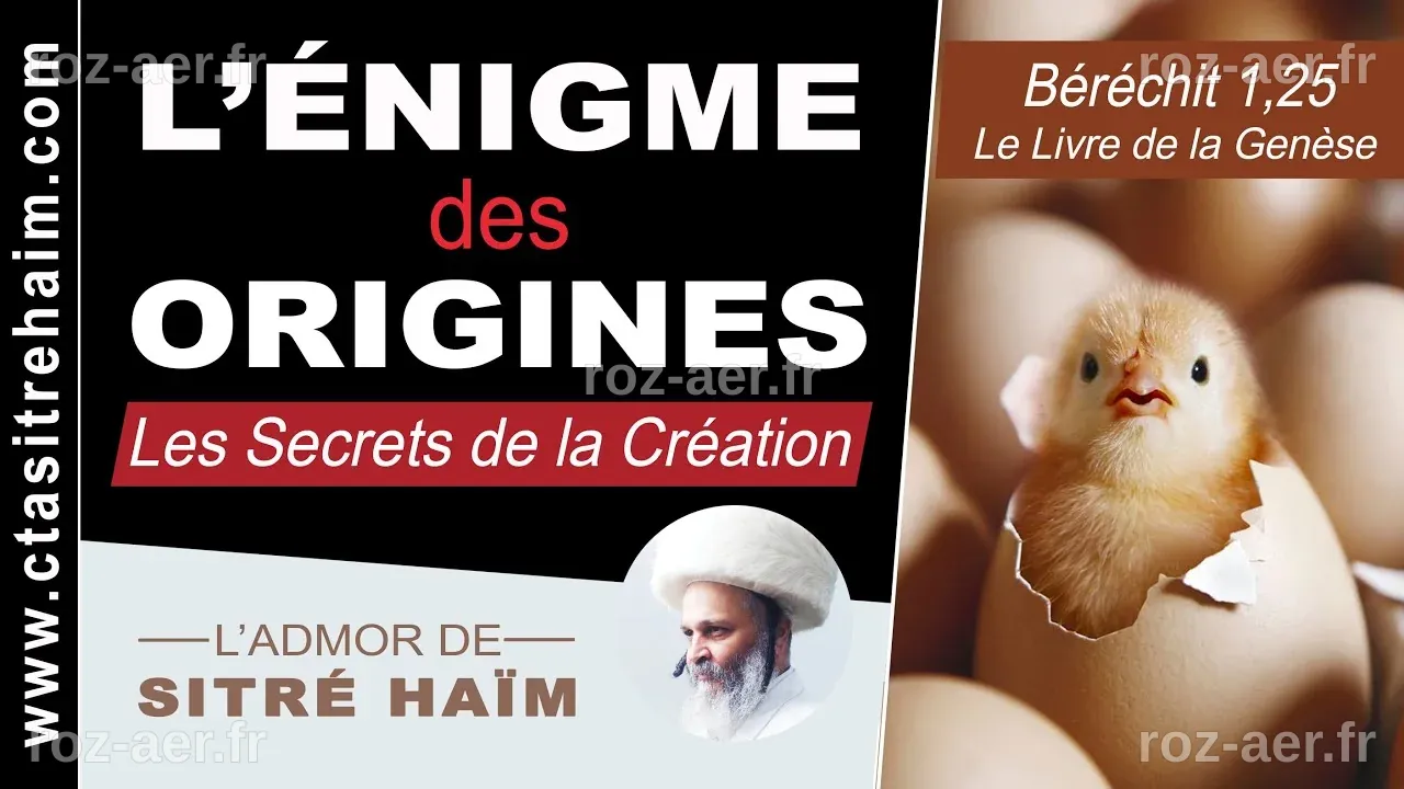 L’OEUF OU LA POULE ? L'ÉNIGME DES ORIGINES ENFIN RÉSOLUE - Les Secrets ...