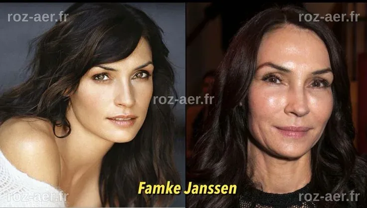 Le parcours de Famke Janssen : Chirurgie et transformations