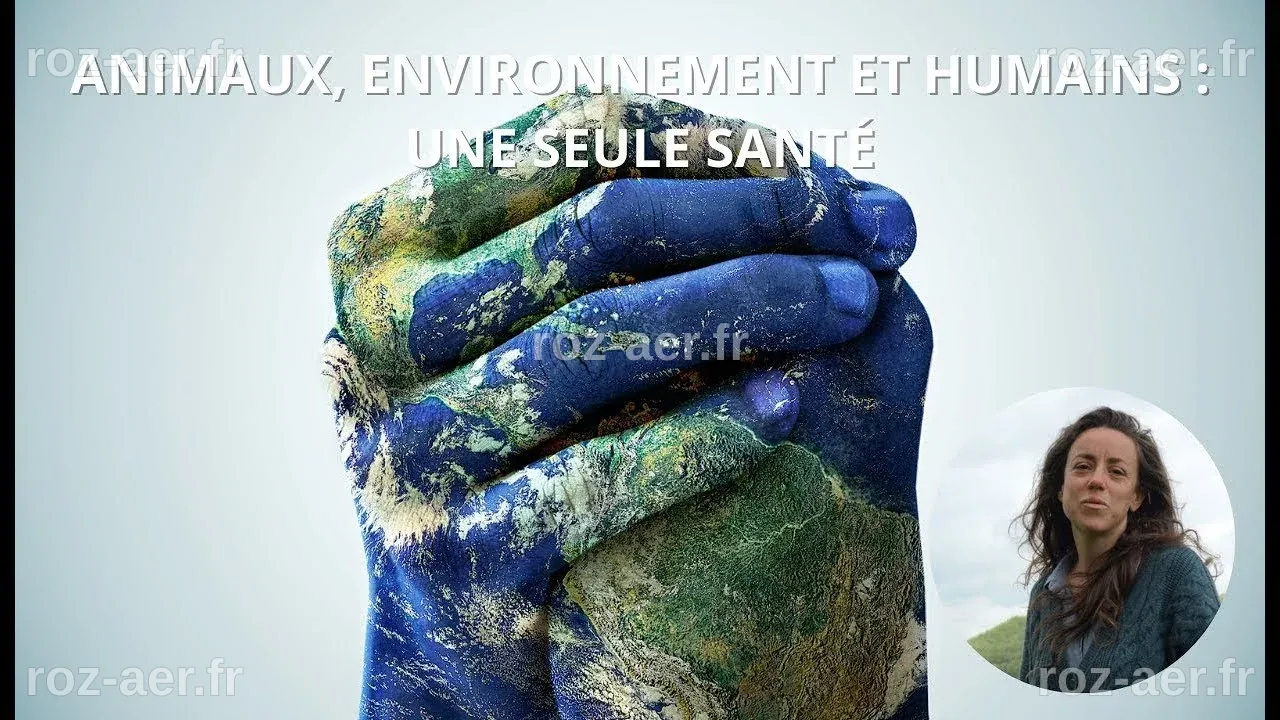 Animaux, environnement et humains : une seule santé - LE VIVANT, UN ...