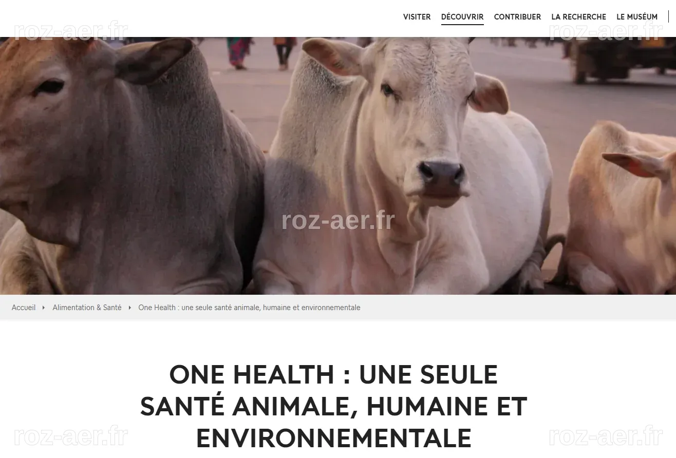 One Health : Une seule santé animale, humaine et environnementale ...
