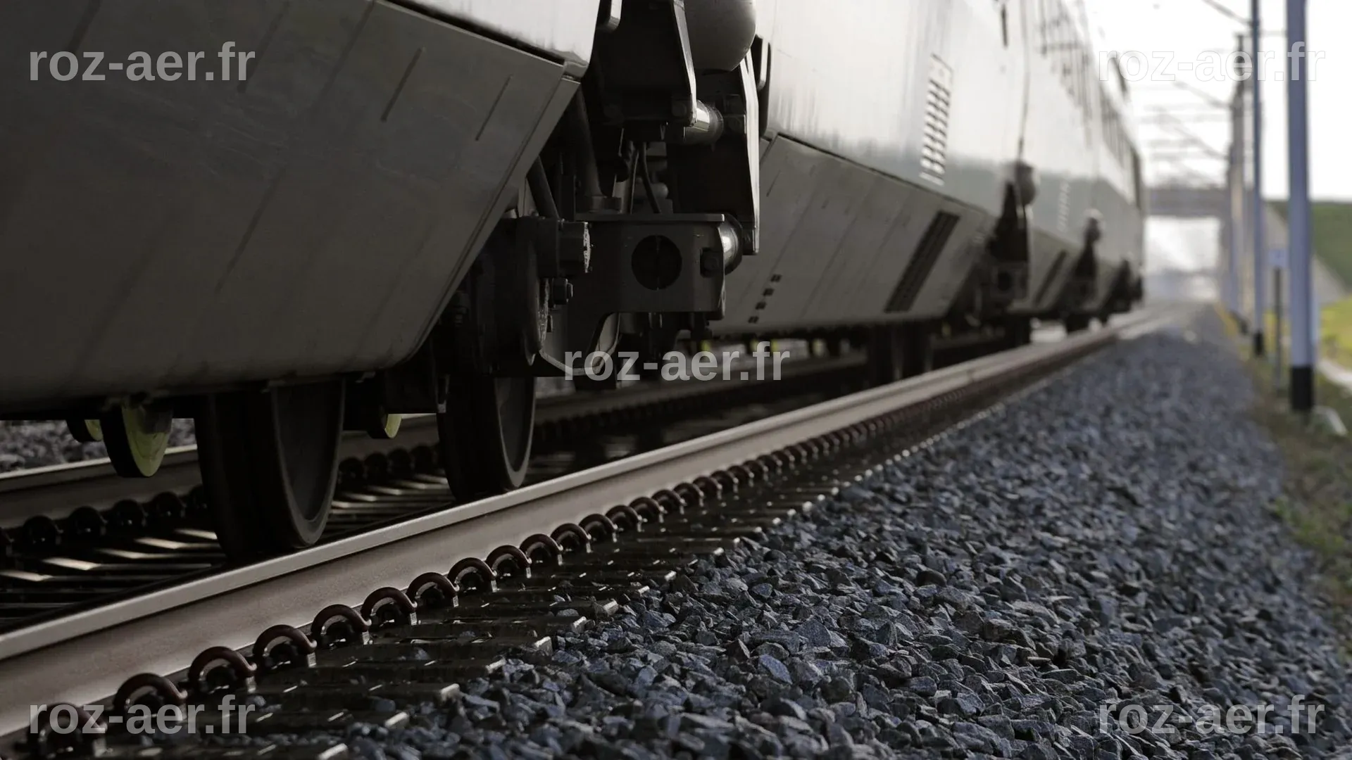 Allemagne: un mort et deux blessés après une agression dans un train ...