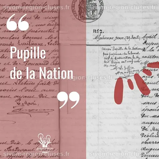 Pupilles de la Nation : un statut particulier en France