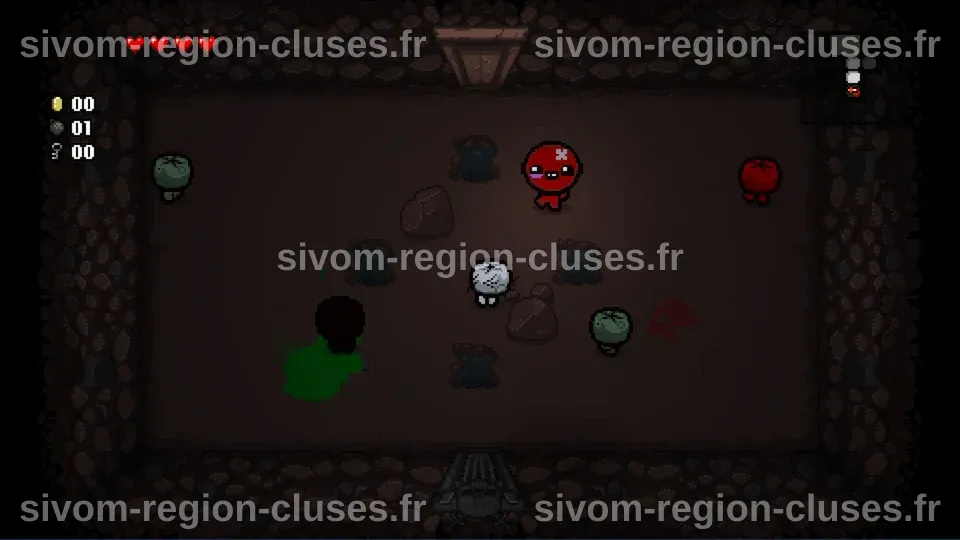 Binding of Isaac : Rebirth