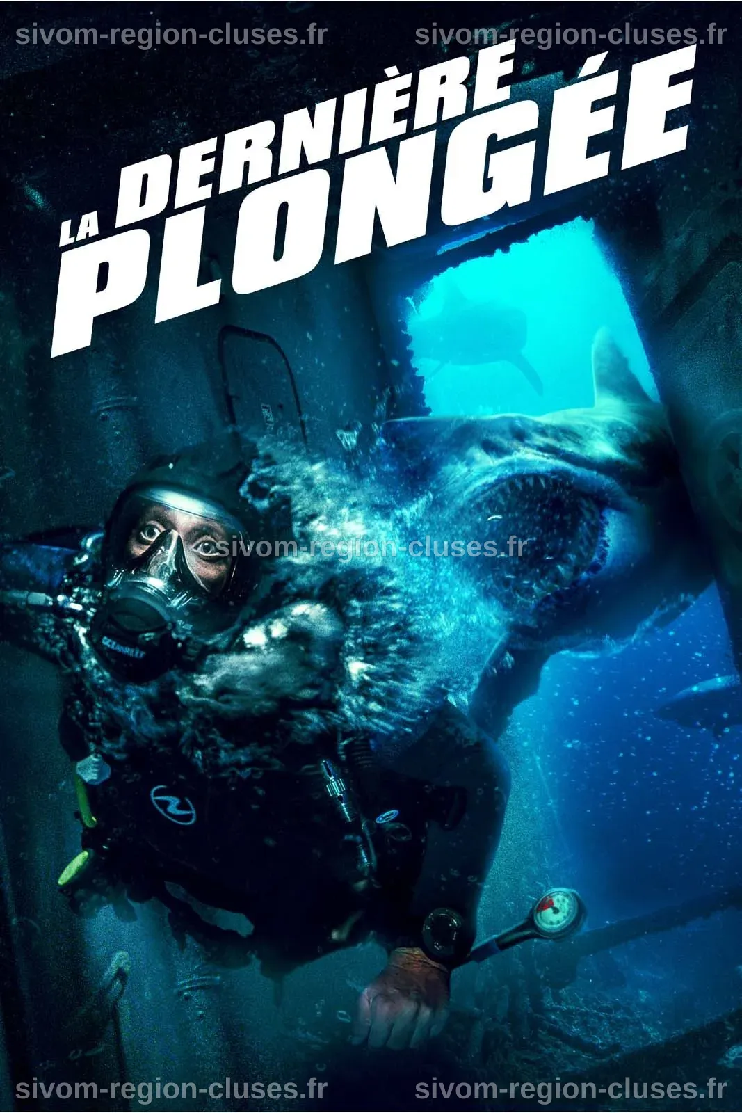 La Dernière Plongée en streaming - AlloCiné
