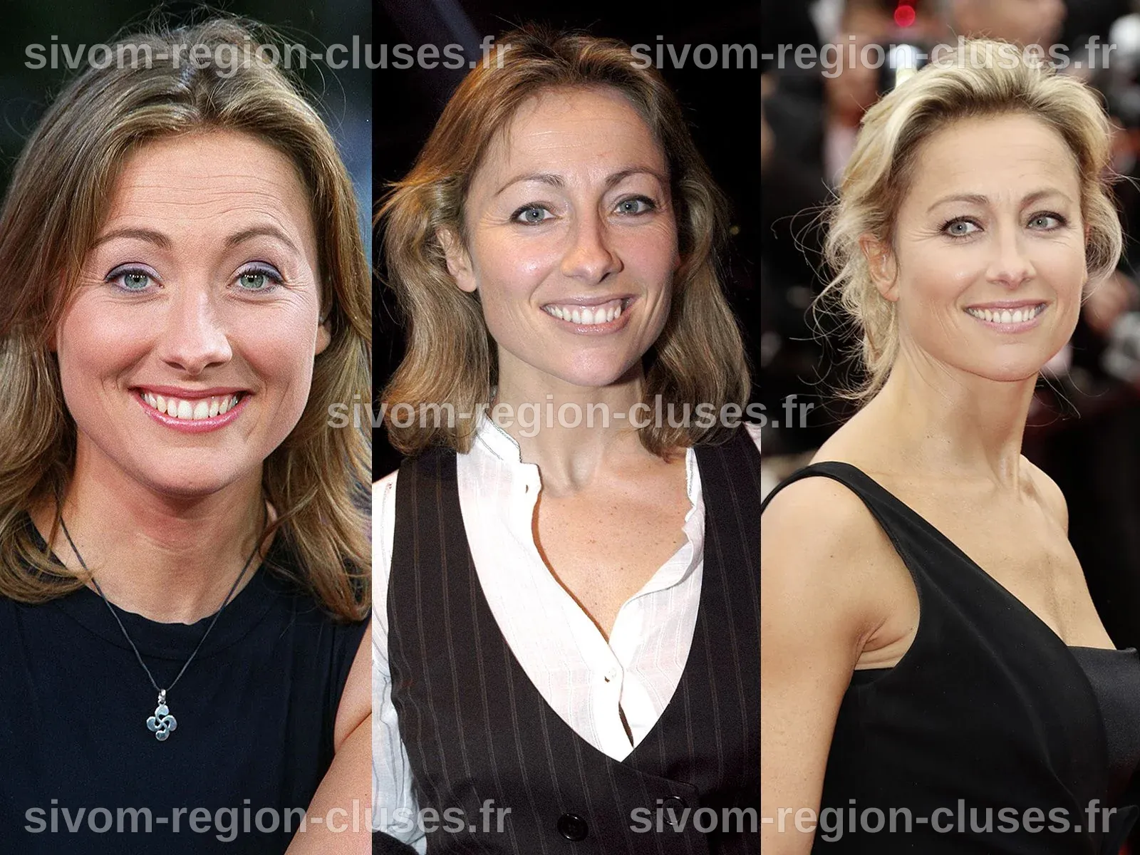 Anne-Sophie Lapix a 47 ans : retour sur son évolution physique | Anne ...