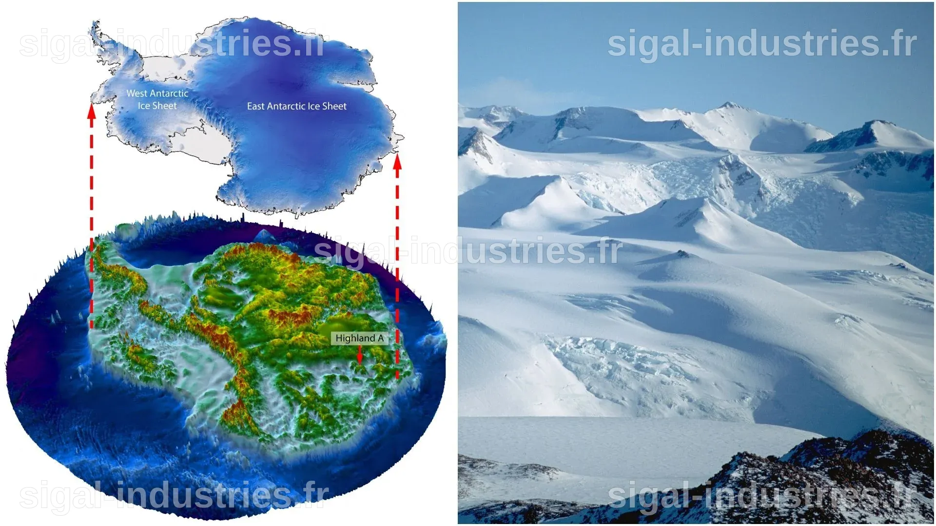 Découverte majeure : des microbes antarctiques inédits révélés par une cartographie révolutionnaire