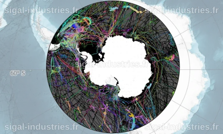 Découverte révolutionnaire : des microbes inconnus de l'Antarctique révélés par une cartographie inédite