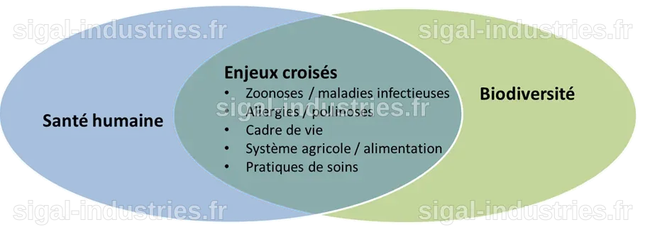 Epidémies, virus et pollutions : Notre santé, un enjeu lié à la biodiversité et à notre planète