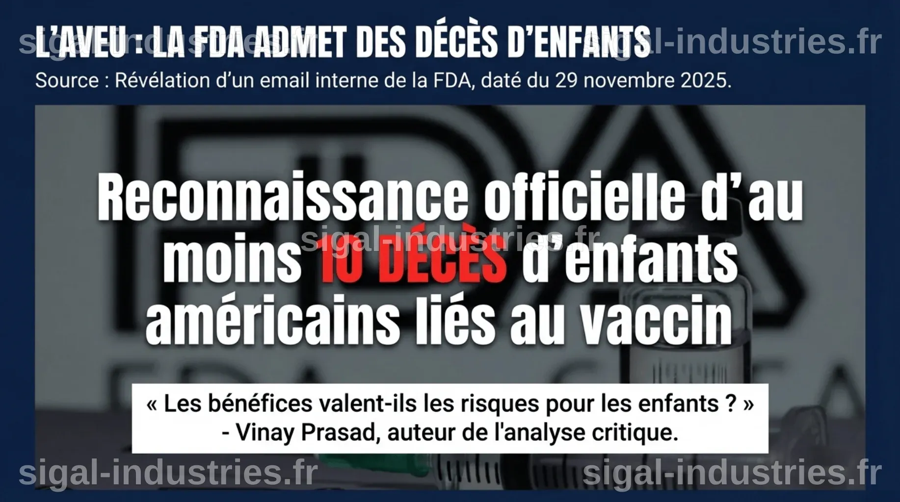 La France remet les risques sanitaires au cœur des discussions internationales avec le sommet 'One Health'