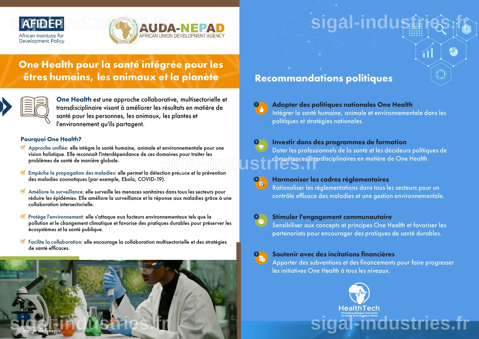 Santé mondiale : l'interconnexion entre nos vies, les animaux et la planète mise en lumière au One Health Summit