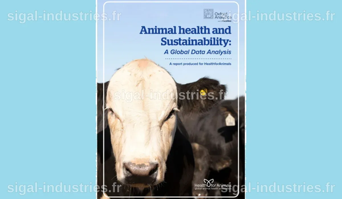 Santé mondiale : Les animaux et la planète, clés de notre bien-être ?
