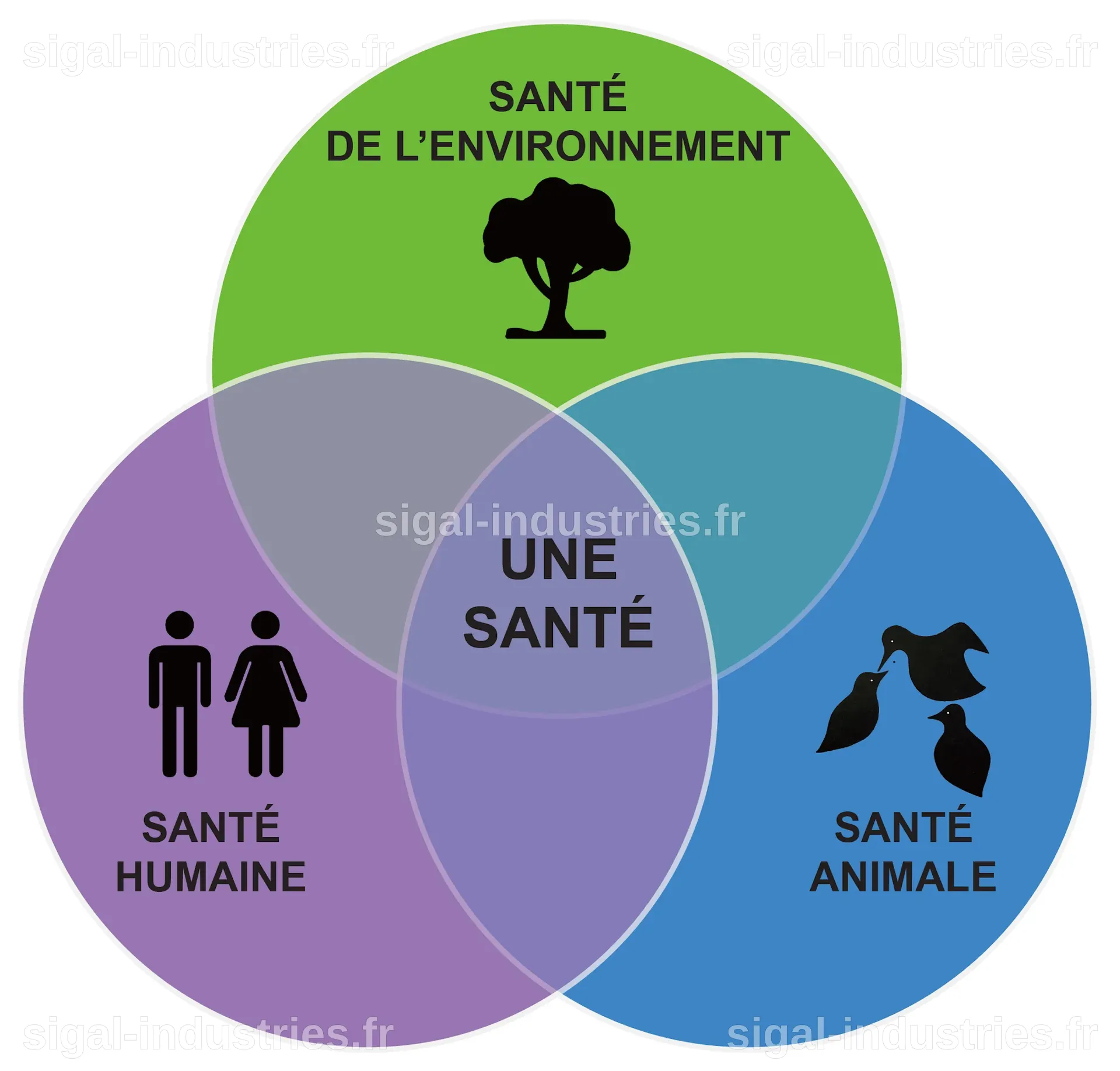 Santé mondiale : Quand les épidémies et la planète influencent notre bien-être