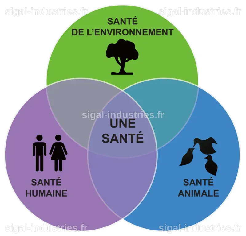 Santé mondiale : un enjeu crucial alliant humains, animaux et environnement