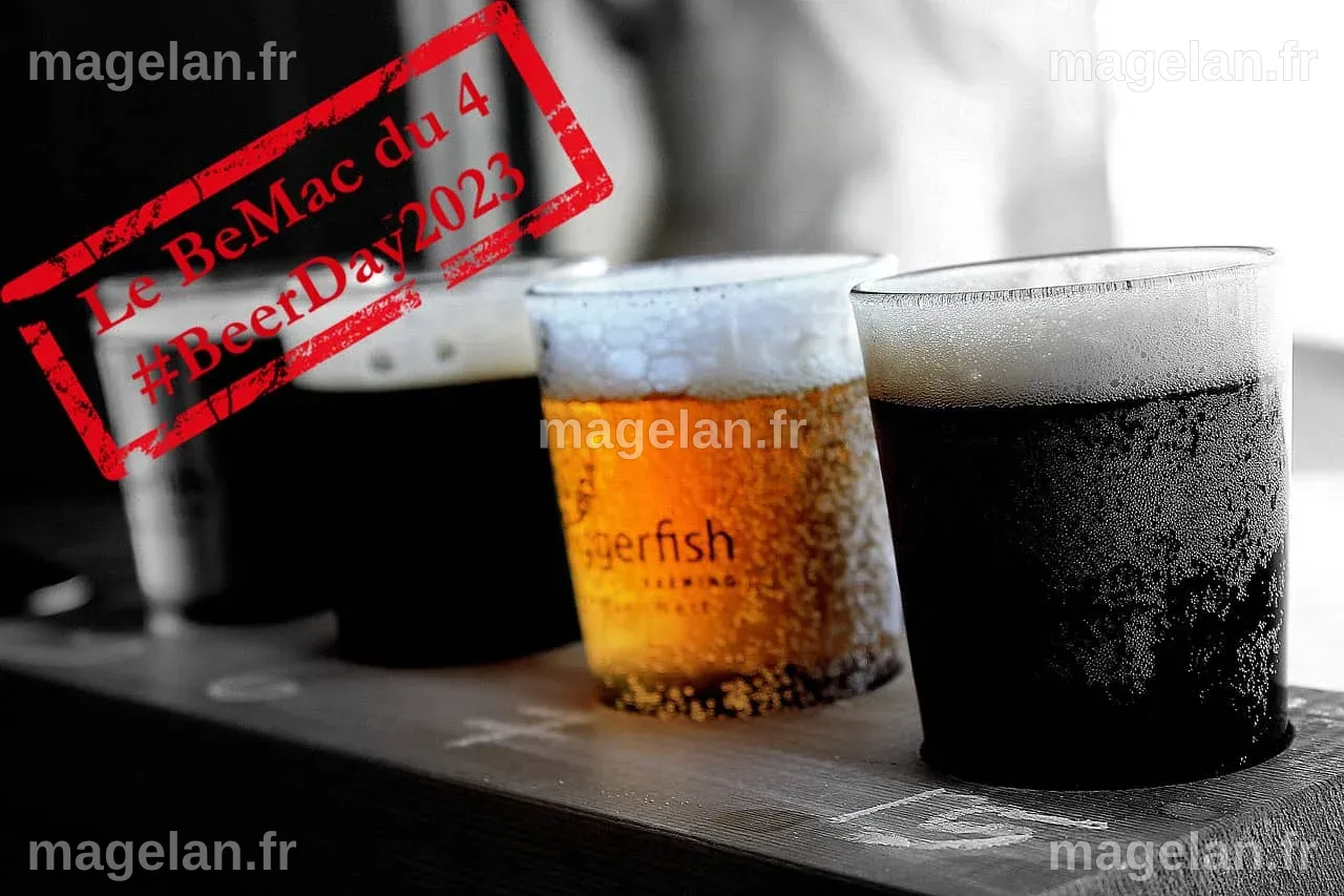 Une Journée internationale de la bière à boire avec modération - TSO