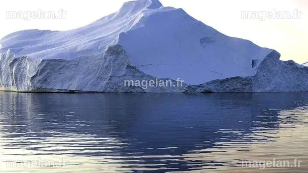 Antarctique : ces microbes qui grouillent sous la glace | TF1 Info