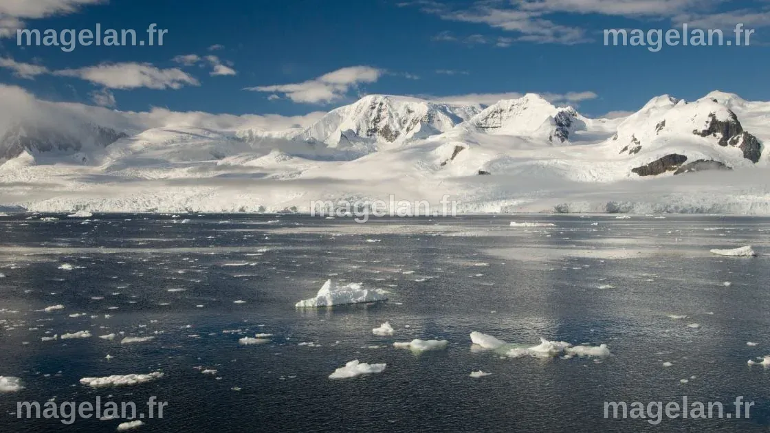 Antarctique : Pour la première fois, des êtres vivants inconnus ont été ...