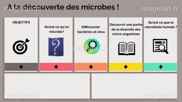 découverte des microbes | Genially