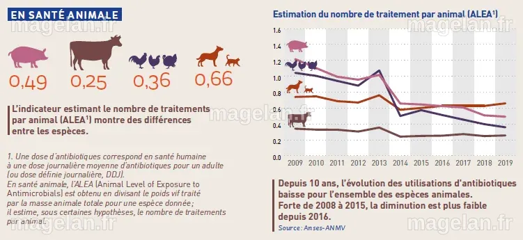 Concept « One Health » et lutte contre l’antibiorésistance