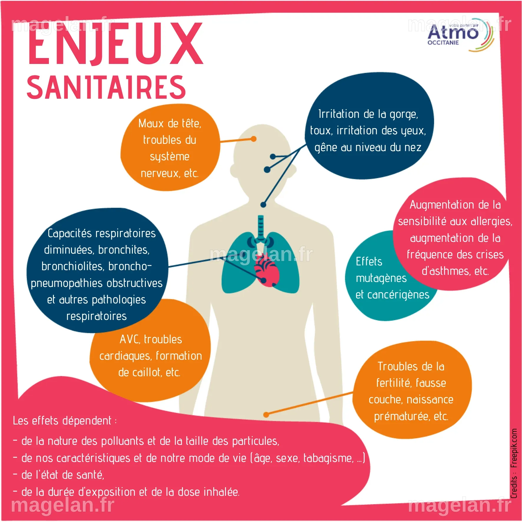 Epidémies, virus et pollutions : la santé humaine au cœur des enjeux planétaires