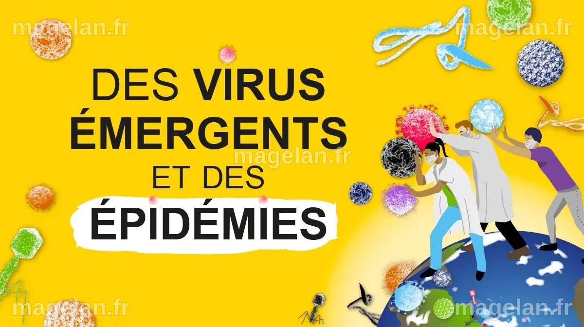 Epidémies, virus, antibiotiques : notre santé à l'intersection des animaux et de la planète