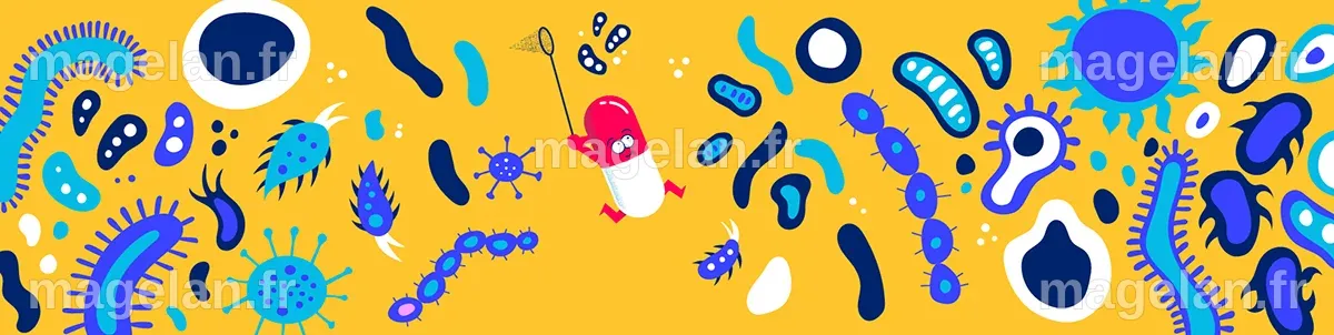 Les infections et les antibiotiques : explications et conseils ...