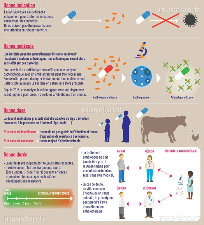 Résistance aux antibiotiques – Santé publique France