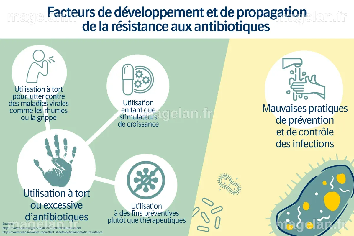 Résistance aux antimicrobiens : une préoccupation croissante ...
