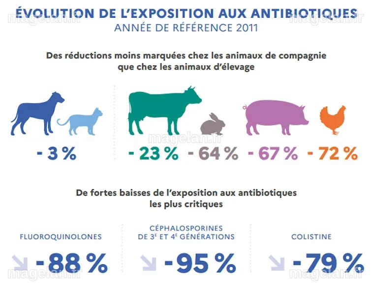 Résistance aux antibiotiques : pour votre santé, attention aussi à bien ...