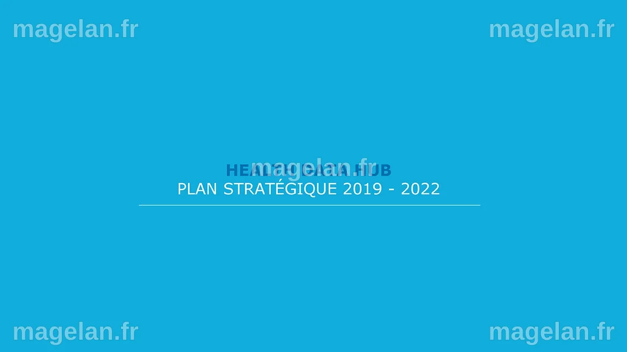 Health Data Hub - Plan Stratégique 2019-2022 - FNMR