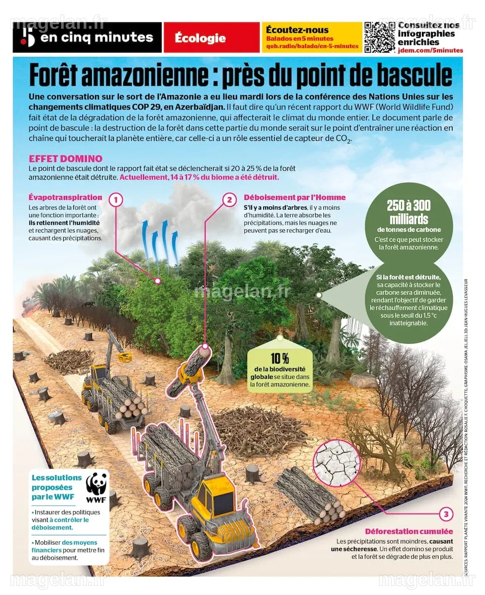 L'impact de la déforestation sur les interactions entre les moustiques et les humains