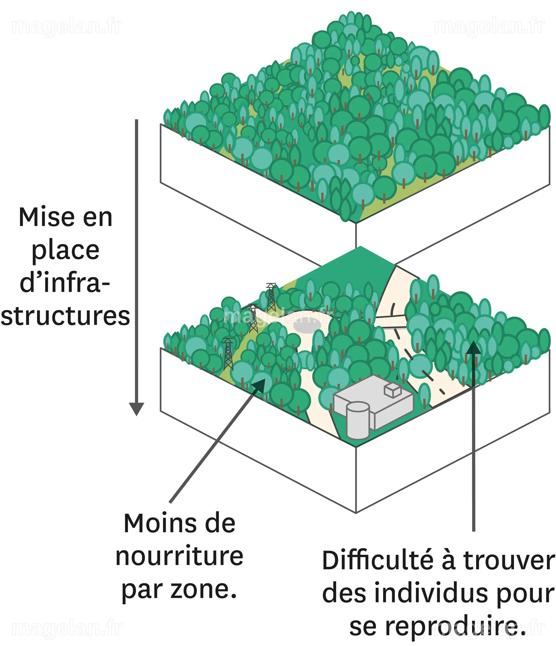 Quel est l'impact des activités humaines sur la biodiversité ...