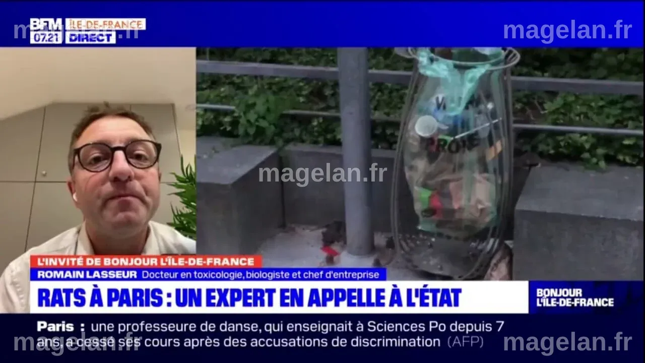 Rats à Paris: un expert alerte l'Etat sur les risques sanitaires