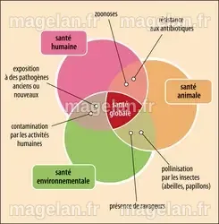 ONE HEALTH (UNE SEULE SANTÉ) - Encyclopædia Universalis