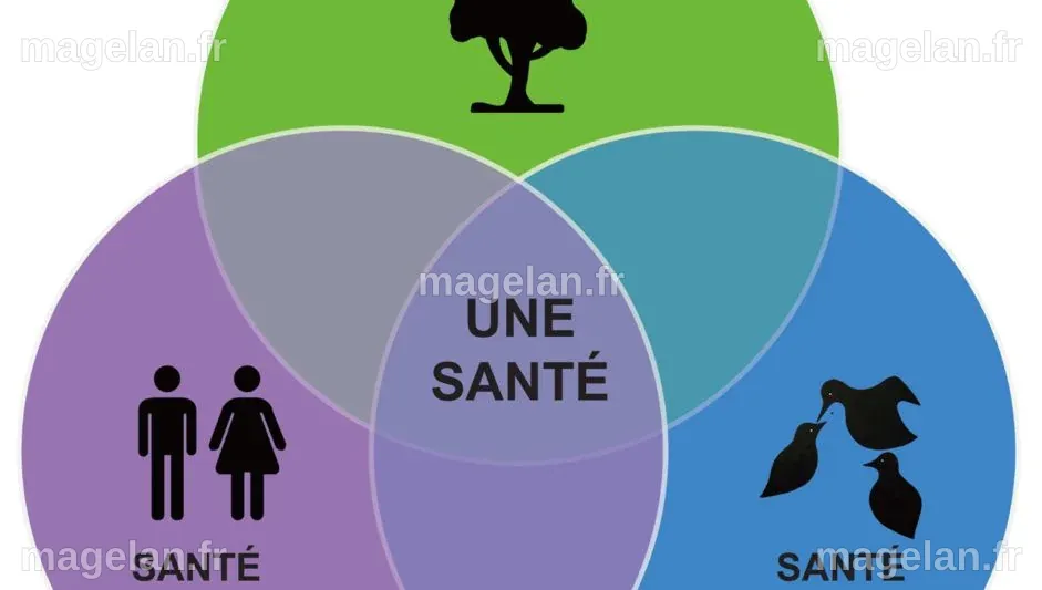 La France remet sur la table les risques sanitaires oubliés lors du sommet « One Health »