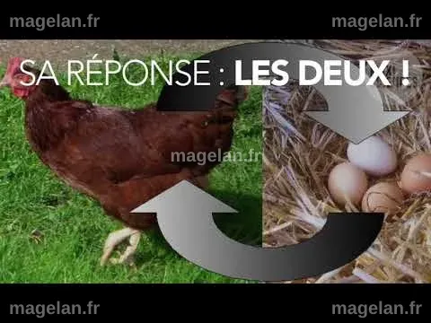 L’œuf ou la poule, qui est venu en premier ? Les deux, répond la ...