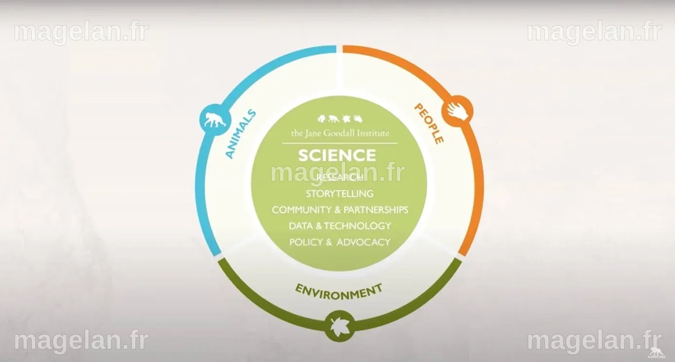 One Health : une approche pluridisciplinaire et globale des enjeux ...