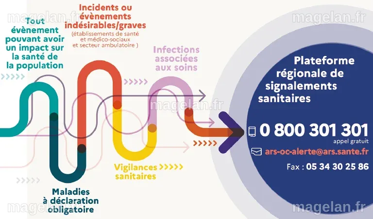 La veille sanitaire et la sécurité sanitaire en France - Sciences et ...