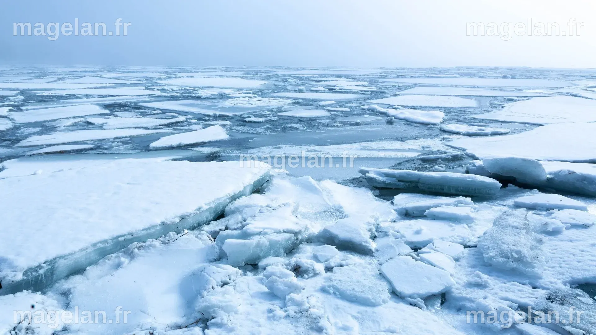 Des microbes bientôt libérés par la fonte des glaces, quels risques ...