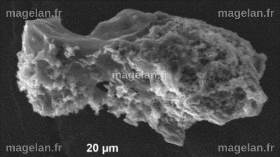 La composition de surfaces cométaires révélée par des micrométéorites ...