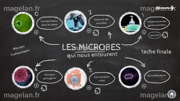 Les microbes qui nous entourent
