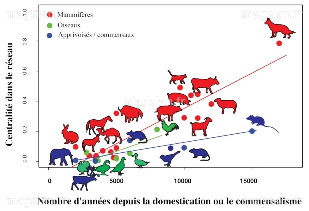 Pandémies virales de l’ère moderne - Encyclopédie de l'environnement