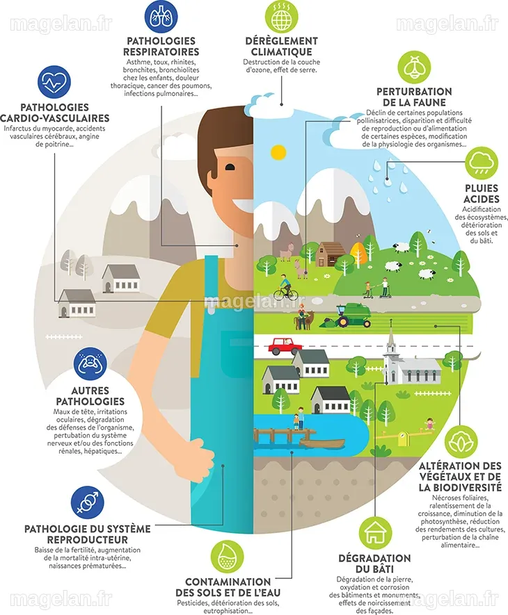 Effets de la pollution sur l'environnement et le climat | Atmo Hauts-de ...