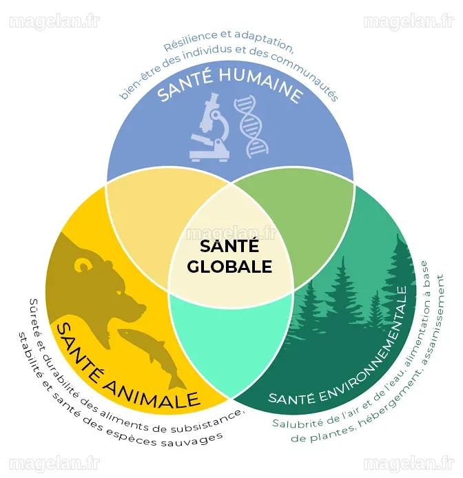EVAH Corp - Approche de santé globale